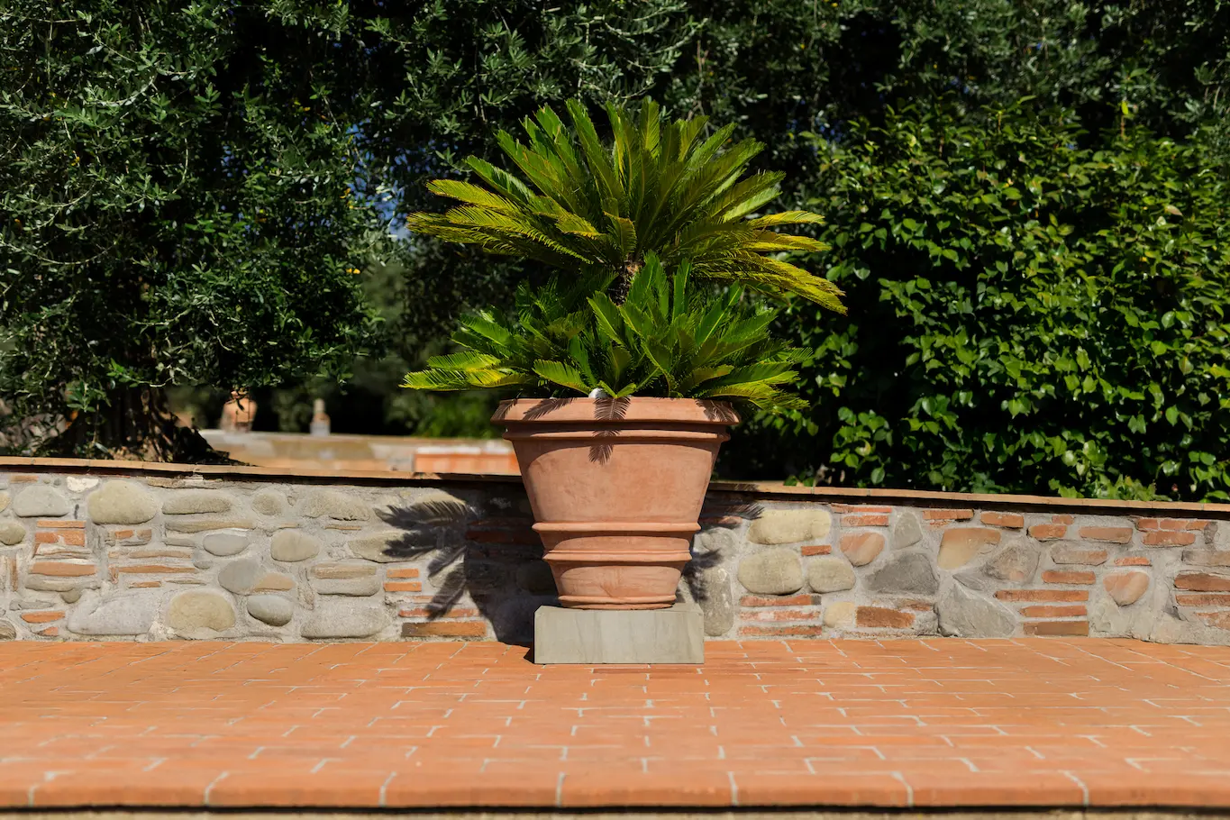 Progettazione personalizzata di pavimenti in cotto fatto a mano