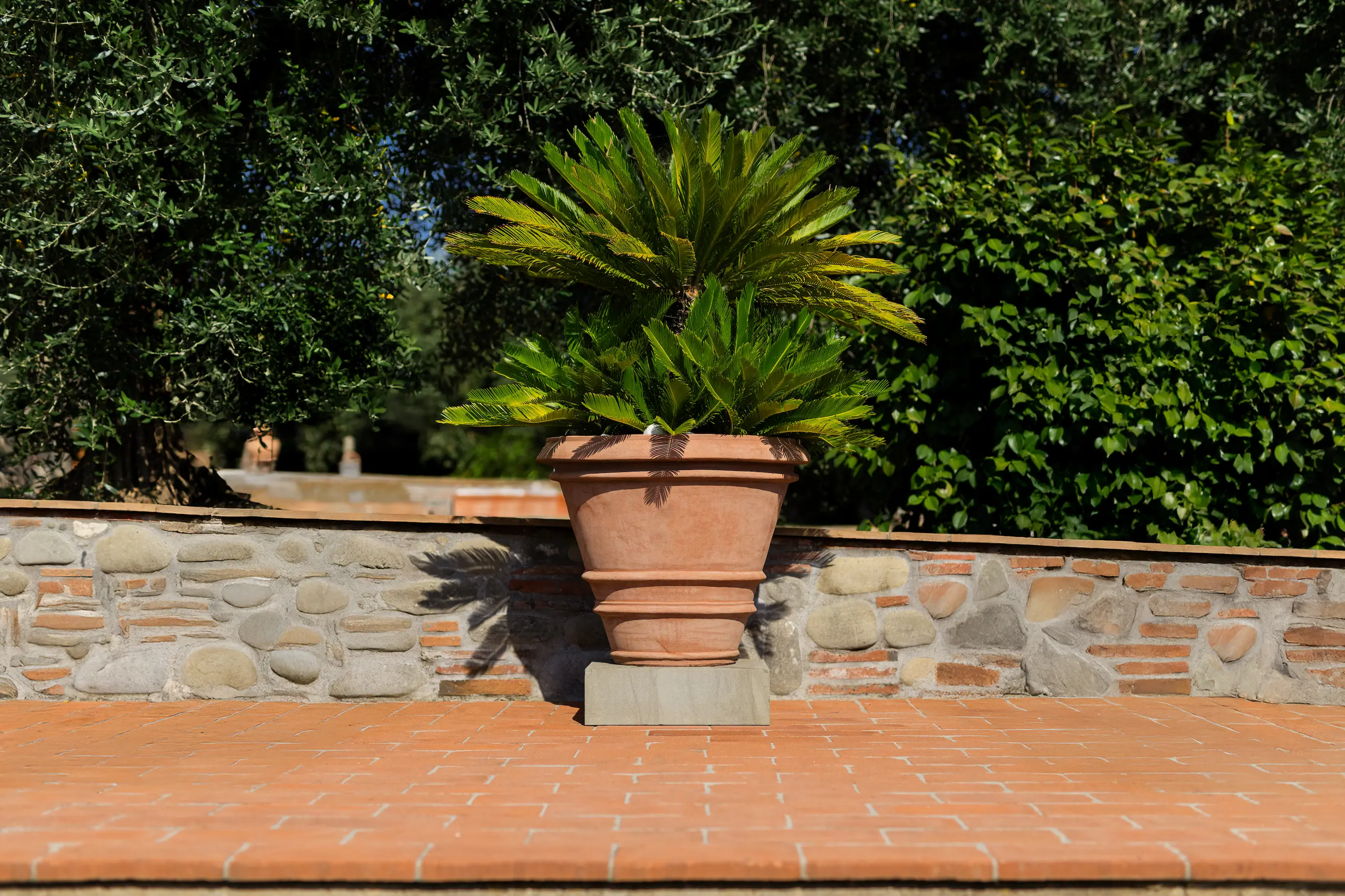 Vasi in cotto artigianale ideali per piante e decorazioni da giardino