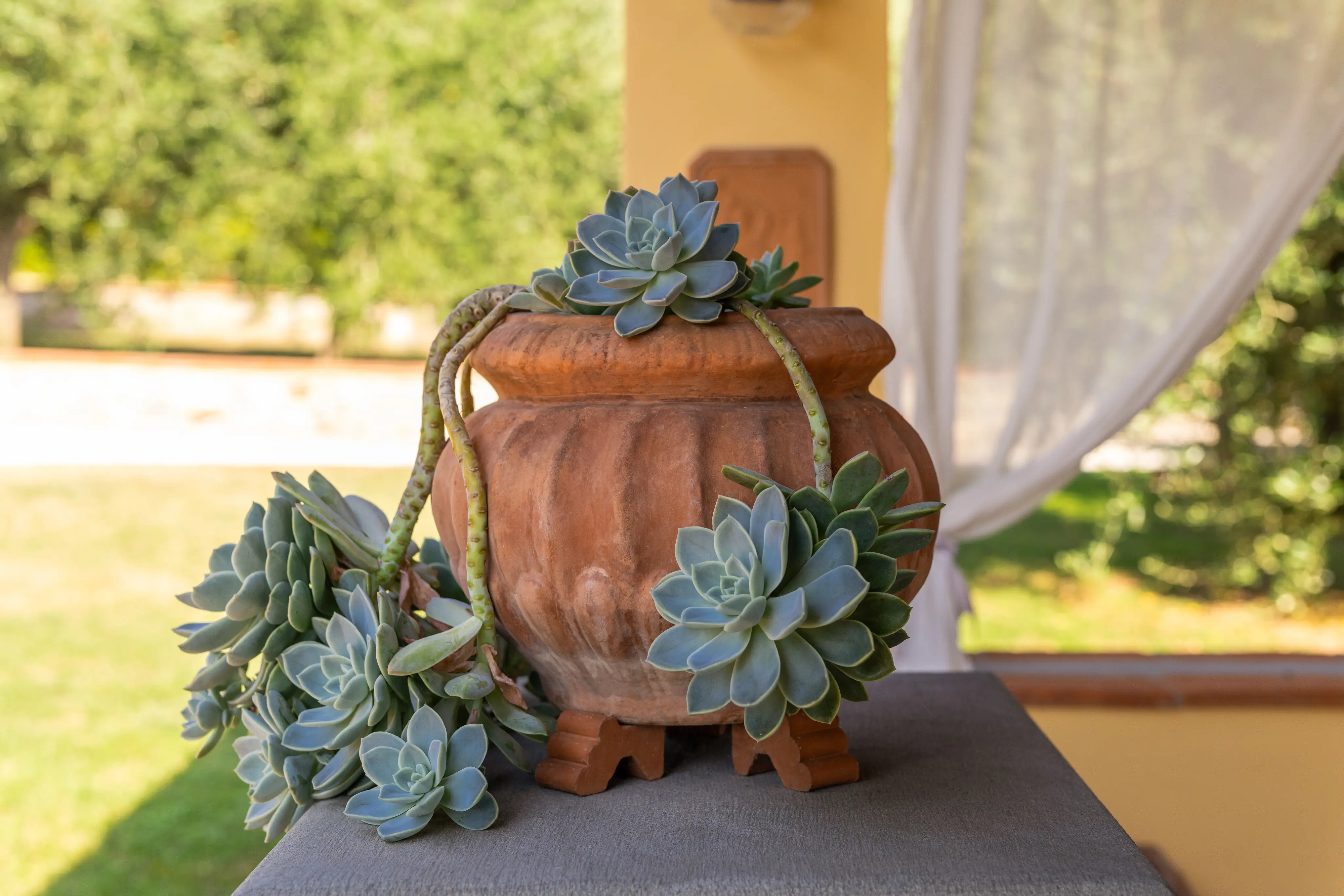 Progettazione di spazi con l’uso di terrecotte artistiche toscane