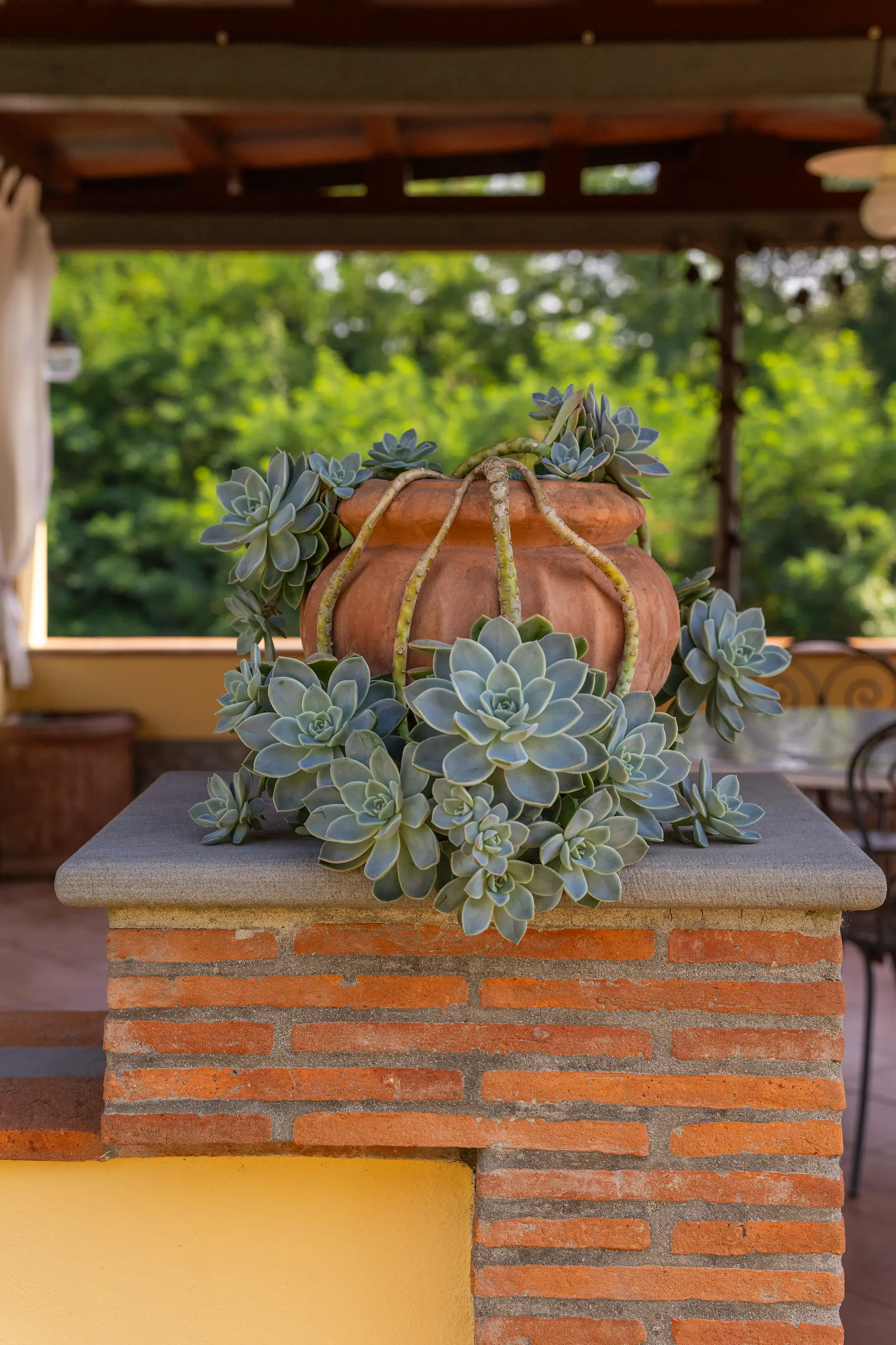 Vasi in cotto artigianale ideali per piante e decorazioni da giardino